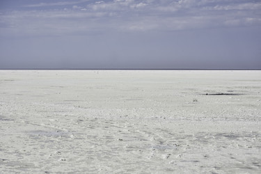 Similar image 21448958