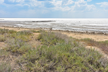 Similar image 21448963