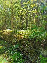 Similar image 21448964