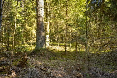 Similar image 21448965