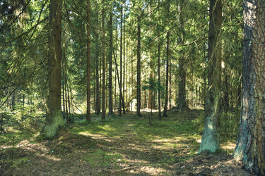 Similar image 21448967