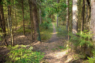 Similar image 21448968