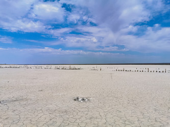 Similar image 21448970