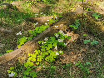 Similar image 21448971