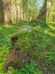 Similar image 21448973