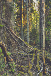 Similar image 21448974