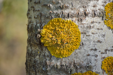 Similar image 21448975