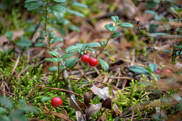 Similar image 21443126