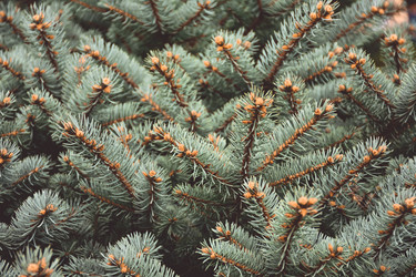 Similar image 21443128