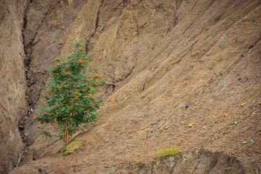 Similar image 21448978