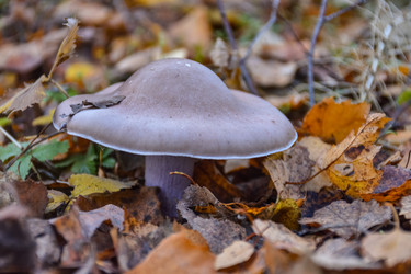 Similar image 21448980