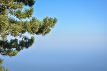 Similar image 21443130