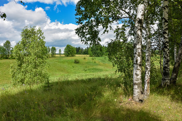 Similar image 21449071