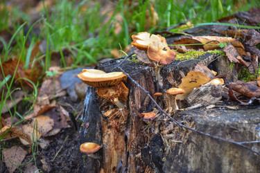 Similar image 21449072