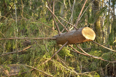 Similar image 21443133