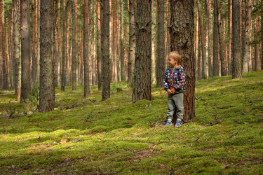 Similar image 21455247