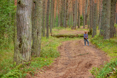 Similar image 21451967