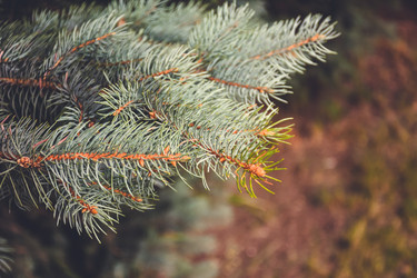 Similar image 21443379