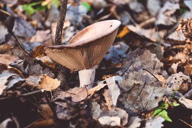 Similar image 21443380