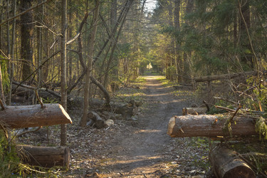 Similar image 21443384