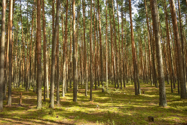 Similar image 21449151