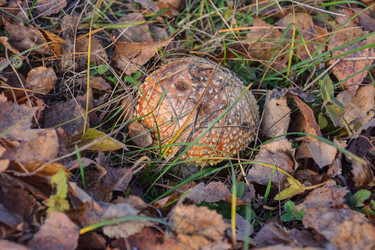 Similar image 21443390