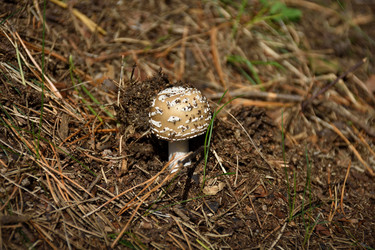 Similar image 21443391