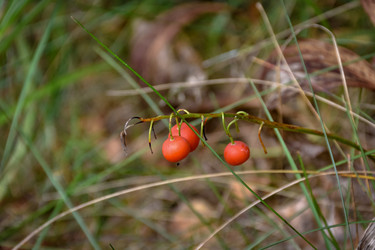 Similar image 21443392