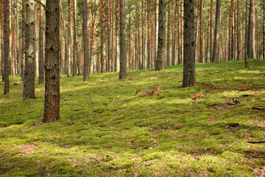 Similar image 21443397