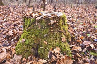 Similar image 21449157