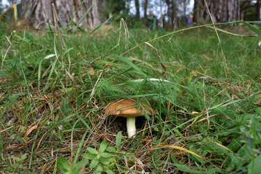 Similar image 21443400