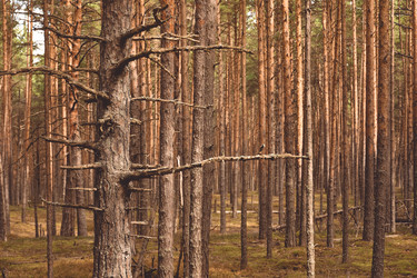 Similar image 21443401