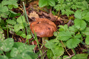 Similar image 21449158