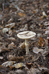 Similar image 21449161