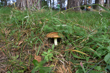 Similar image 21443404