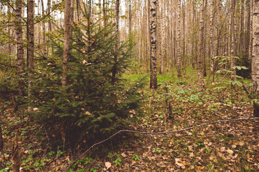 Similar image 21449165