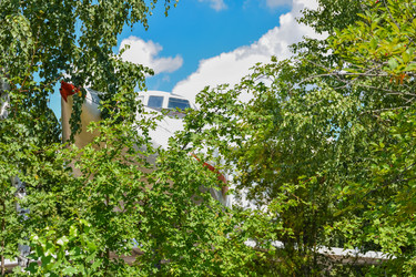 Similar image 21449166