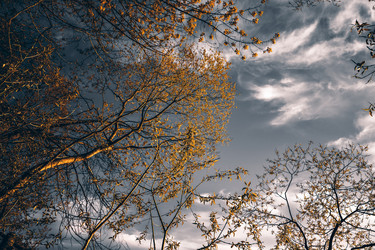 Similar image 21443406