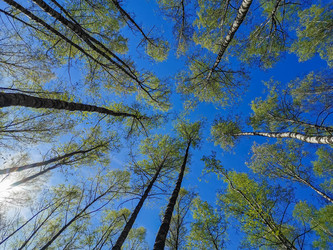 Similar image 21443411