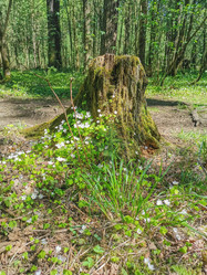 Similar image 21449177