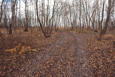 Similar image 21443412