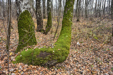 Similar image 21443413