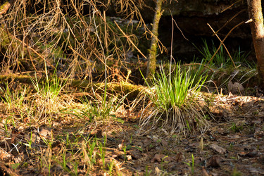 Similar image 21449182