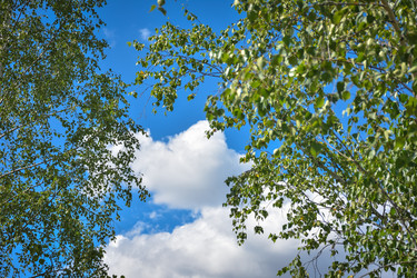 Similar image 21449184