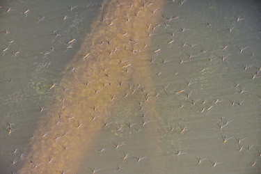 Similar image 21446519