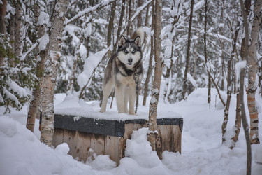 Similar image 21446522