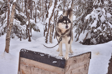 Similar image 21446523