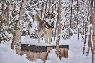 Similar image 21446526