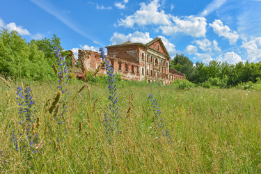 Similar image 21447020