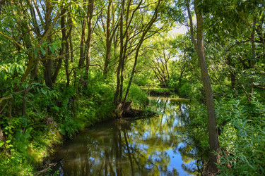 Similar image 21447035